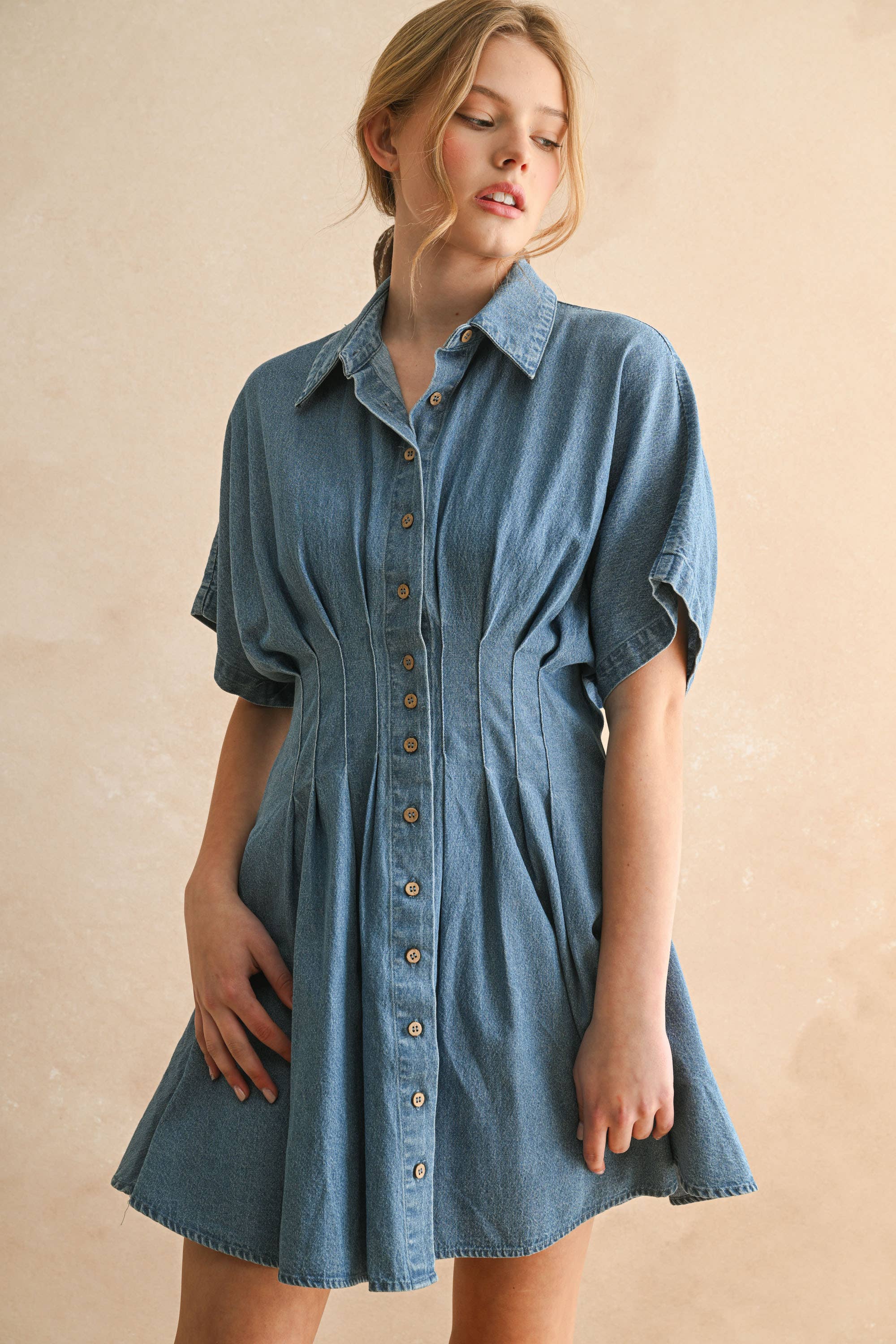 Chambray Denim Knopffront mit Pleat Detail Kleid