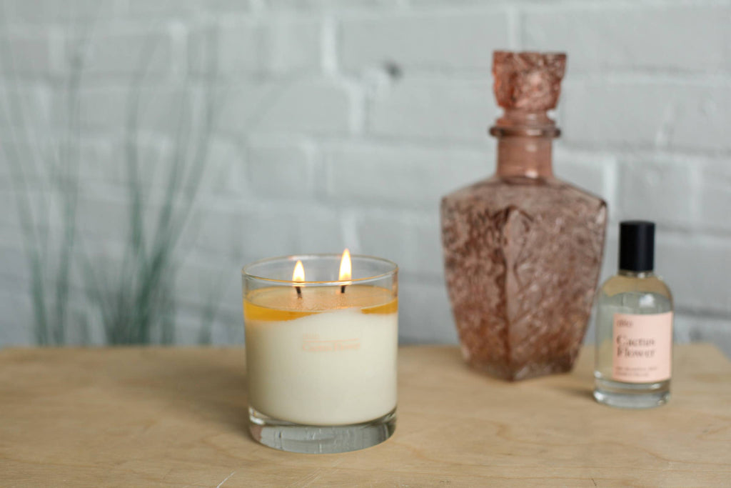 Cactus Blume Candle von Dilo