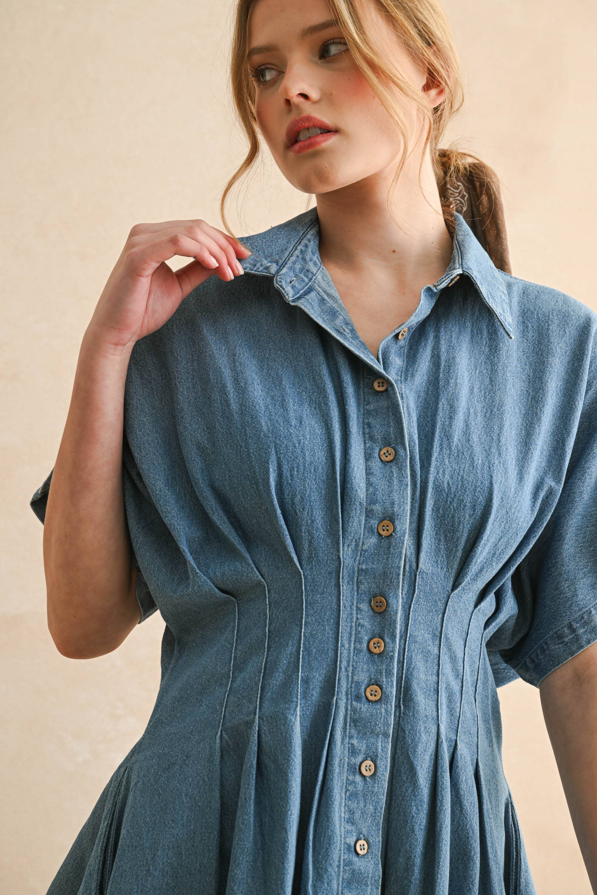 Chambray Denim Knopffront mit Pleat Detail Kleid