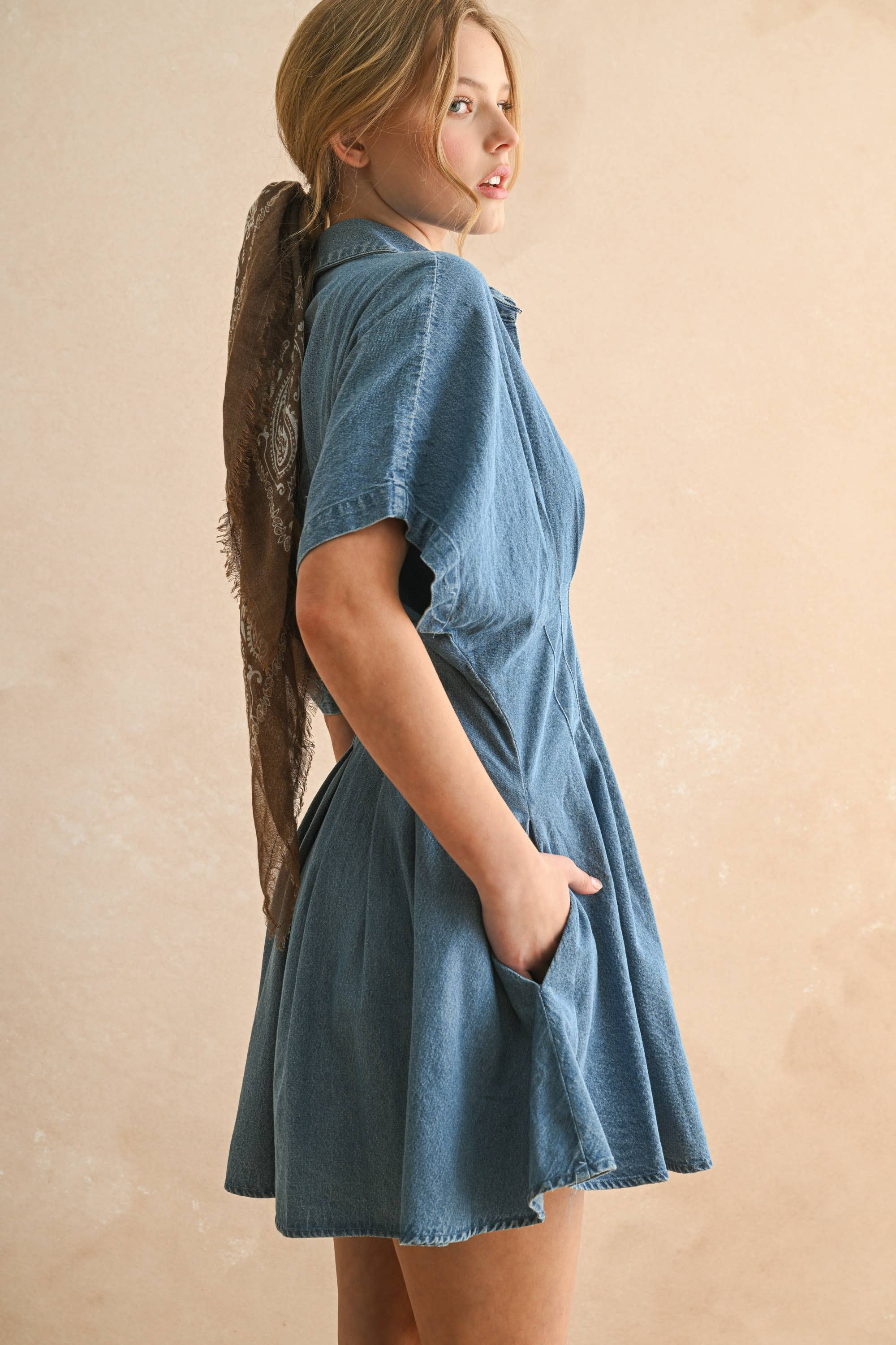 Chambray Denim Knopffront mit Pleat Detail Kleid
