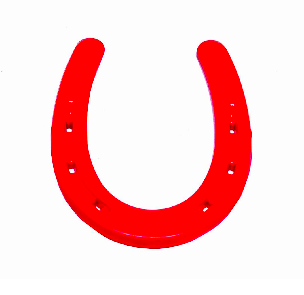 Lucky Pony Shoe von Cast & Crew