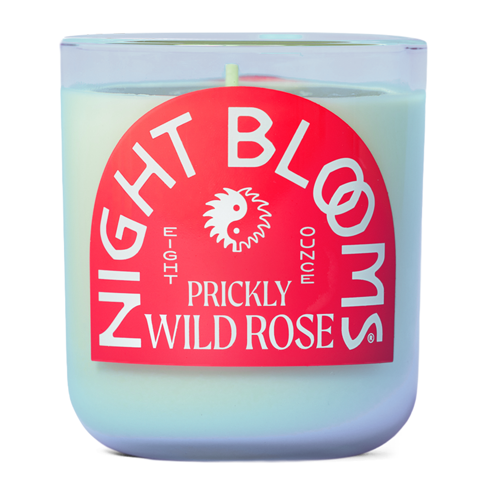 Prickly Wild Rose 227 g. Candle von Night Blooms Goods