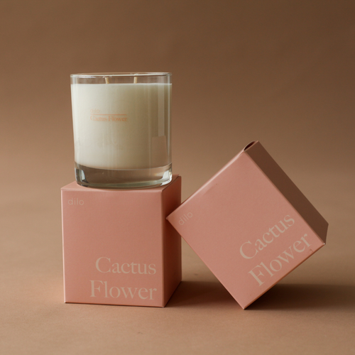 Cactus Blume Candle von Dilo